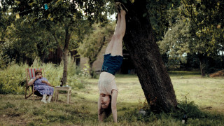 Vignette du film LES ECHOS DU PASSE