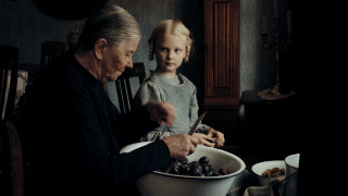 Vignette du film LES ECHOS DU PASSE