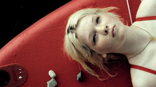 Vignette du film LES ECHOS DU PASSE