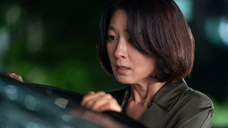 Vignette du film A Normal Family