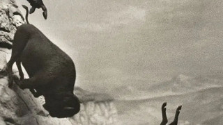 Vignette du film Eddington