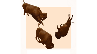 Vignette du film Eddington