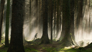 Vignette du film Dragons