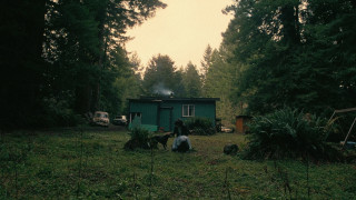 Vignette du film Une bataille après l&rsquo;autre