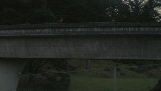 Vignette du film Une bataille après l&rsquo;autre