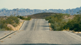 Vignette du film Une bataille après l&rsquo;autre