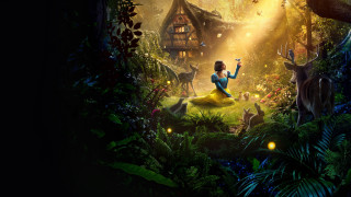 Vignette du film Blanche Neige