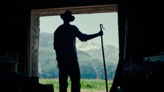 Vignette du film Bergers