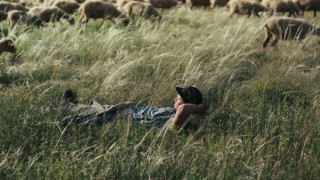 Vignette du film Bergers