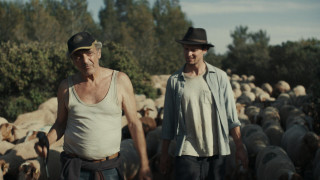 Vignette du film Bergers