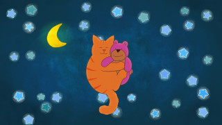 Vignette du film TOM LE CHAT A LA RECHERCHE DU DOUDOU PERDU