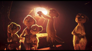 Vignette du film Tafiti