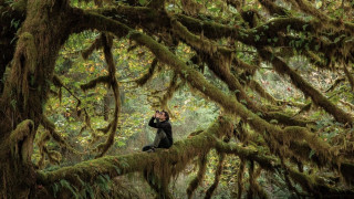 Vignette du film Le Chant des forêts