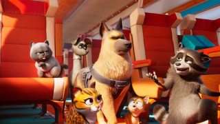 Vignette du film Falcon Express