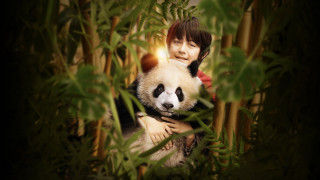 Vignette du film Moon le Panda