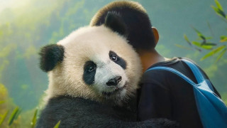 Vignette du film Moon le Panda