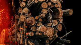 Vignette du film Destination finale : Bloodlines