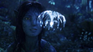 Vignette du film Avatar : De feu et de cendres