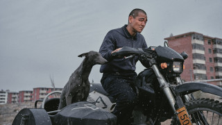 Vignette du film Black Dog