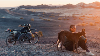 Vignette du film Black Dog