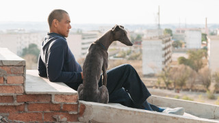 Vignette du film Black Dog