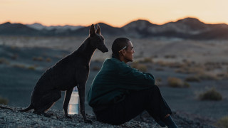 Vignette du film Black Dog