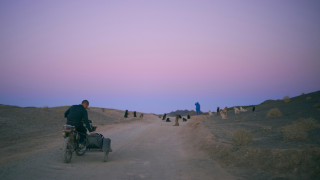 Vignette du film Black Dog