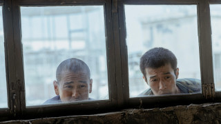 Vignette du film Black Dog