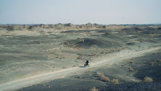 Vignette du film Black Dog