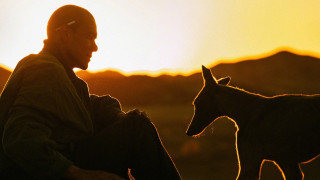 Vignette du film Black Dog