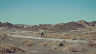 Vignette du film Black Dog