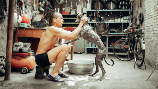 Vignette du film Black Dog