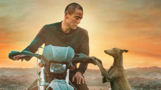 Vignette du film Black Dog