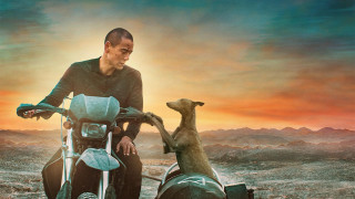 Vignette du film Black Dog