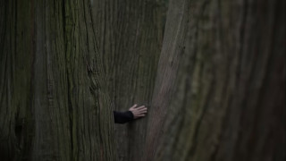 Vignette du film Silent Friend