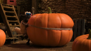Vignette du film Shaun le Mouton : La Bêêête d&rsquo;Halloween