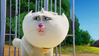 Vignette du film Walter Lapin