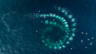 Vignette du film Les Gardiennes de la planète