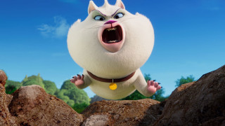 Vignette du film Walter Lapin