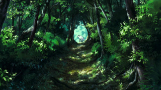 Vignette du film Princesse Mononoke