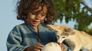 Vignette du film L&rsquo;Enfant Du Désert
