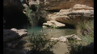 Vignette du film Sorda
