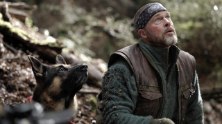 Vignette du film Heart of the Beast
