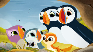 Vignette du film Nouveaux copains à Puffin Rock