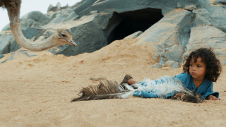 Vignette du film L&rsquo;Enfant Du Désert