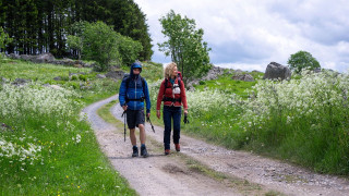 Vignette du film Compostelle