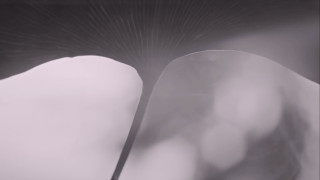 Vignette du film Silent Friend