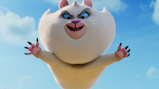 Vignette du film Walter Lapin