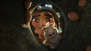 Vignette du film Kayara, Princesse inca