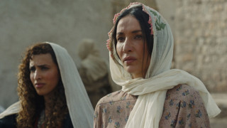 Vignette du film Palestine 36